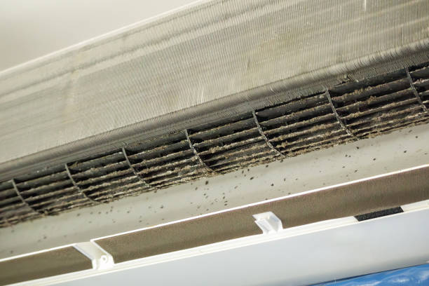 Best Affordable Duct Cleaning Services  in Wilmington, OH