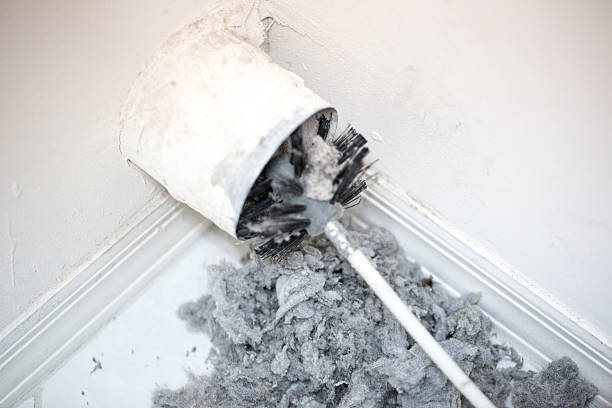 Best Professional Duct Cleaning Services  in Wilmington, OH